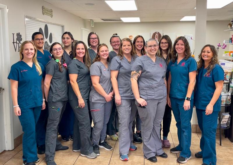 Animal Health Care Clinic Clearwater veterinary hospital